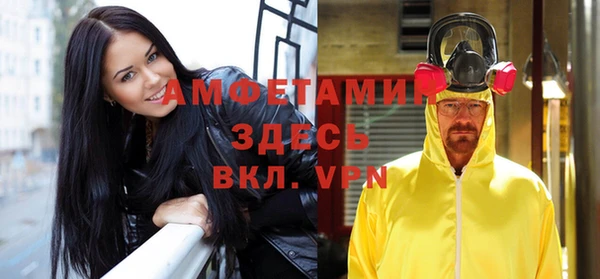 шишки Верхний Тагил