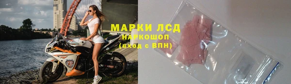 шишки Верхний Тагил