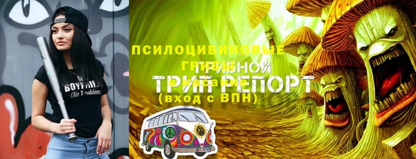 шишки Верхний Тагил