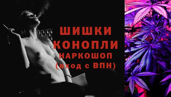 шишки Верхний Тагил